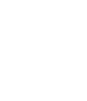 Viñeta | Producción Audiovisual y Marketing Estratégico en Bolivia